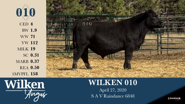 Lot #10 - WILKEN 010