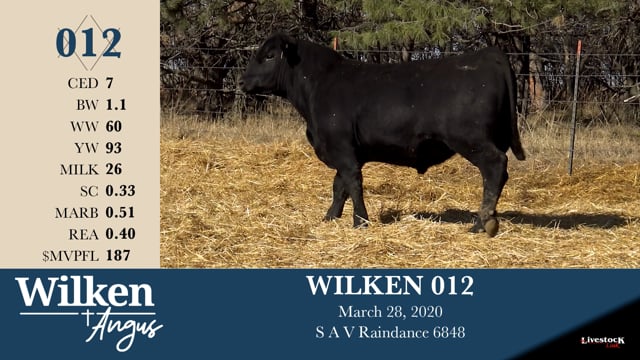 Lot #12 - WILKEN 012
