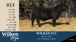 Lot #13 - WILKEN 013