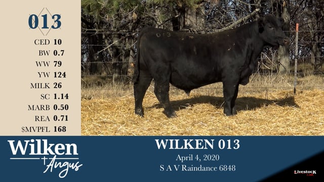Lot #13 - WILKEN 013
