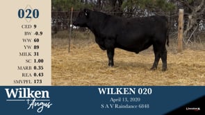 Lot #20 - WILKEN 020
