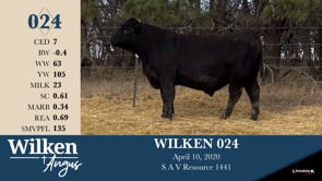 Lot #24 - WILKEN 024