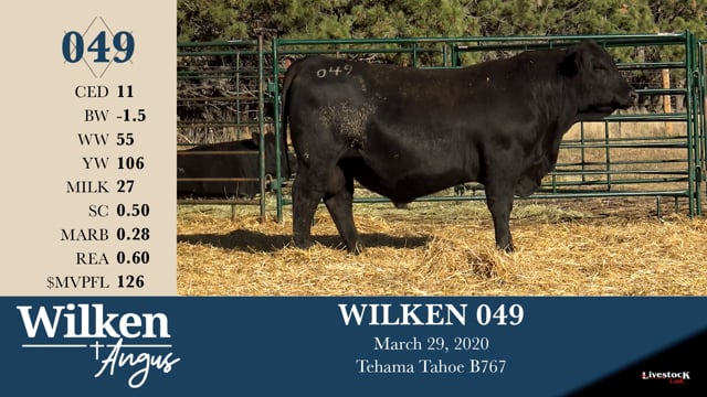 Lot #49 - WILKEN 049