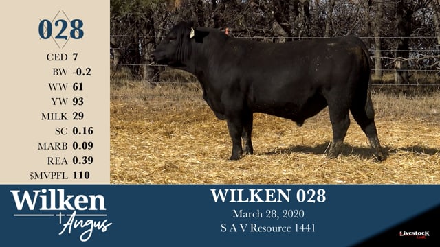 Lot #28 - WILKEN 028