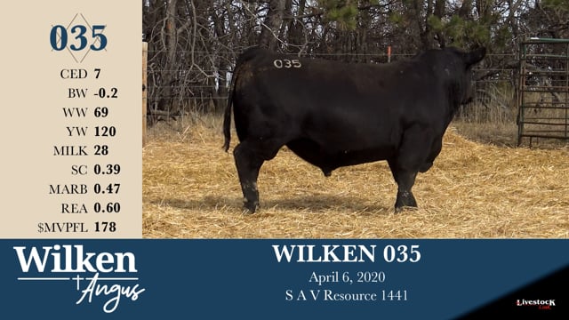 Lot #35 - WILKEN 035