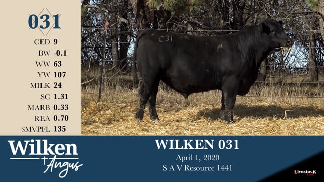 Lot #31 - WILKEN 031