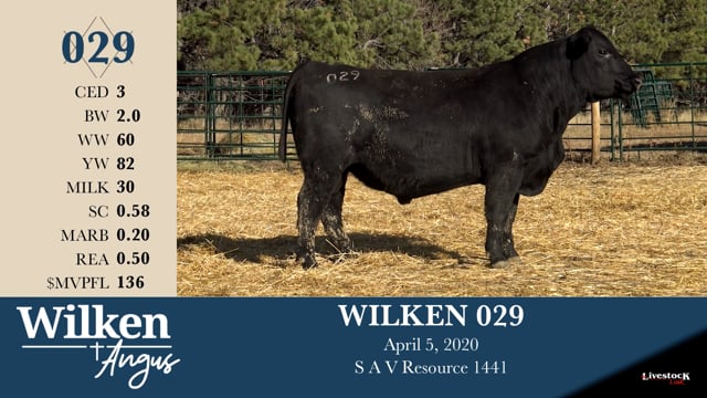Lot #29 - WILKEN 029