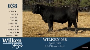 Lot #38 - WILKEN 038