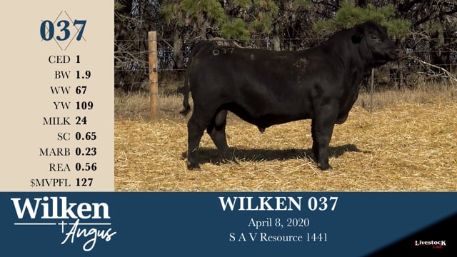 Lot #37 - WILKEN 037