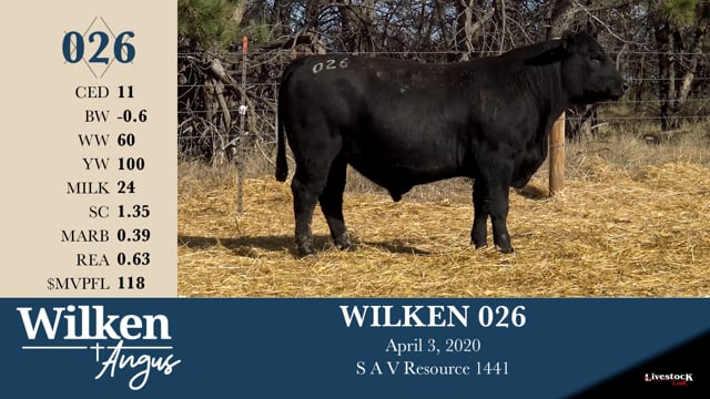 Lot #26 - WILKEN 026