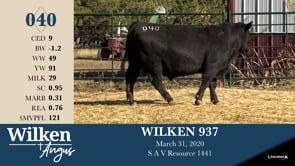 Lot #40 - WILKEN 937