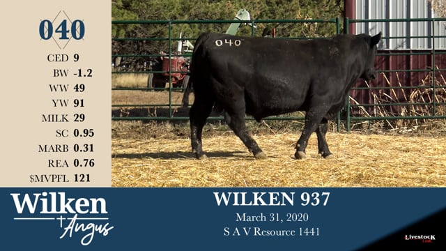 Lot #40 - WILKEN 937