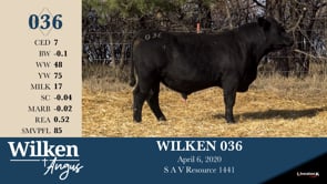 Lot #36 - WILKEN 036