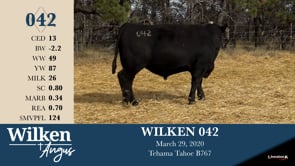 Lot #42 - WILKEN 042