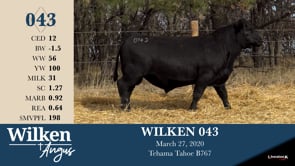 Lot #43 - WILKEN 043