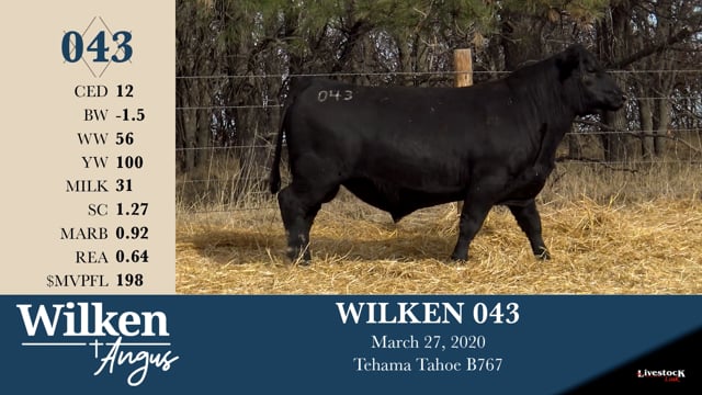Lot #43 - WILKEN 043