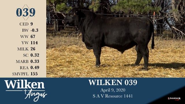 Lot #39 - WILKEN 039