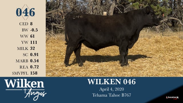 Lot #46 - WILKEN 046 ***OUT OF SALE***