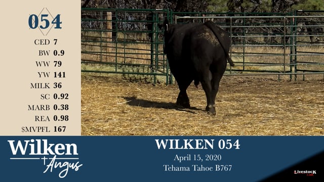 Lot #54 - WILKEN 054
