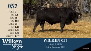 Lot #57 - WILKEN 057
