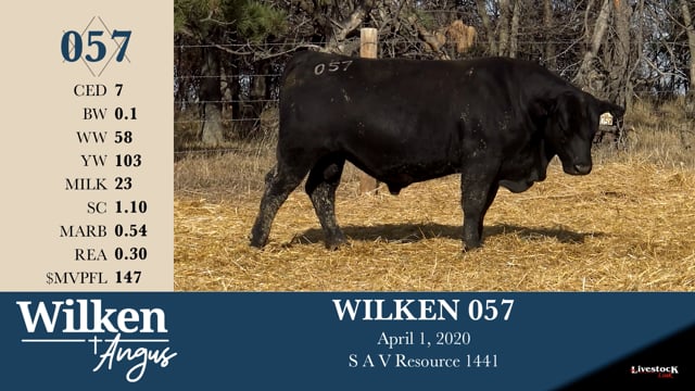 Lot #57 - WILKEN 057