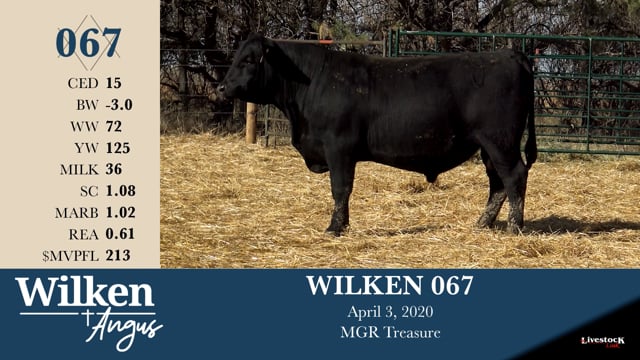 Lot #67 - WILKEN 067