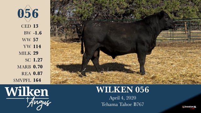 Lot #56 - WILKEN 056