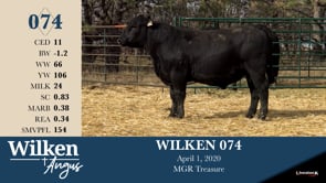 Lot #74 - WILKEN 074