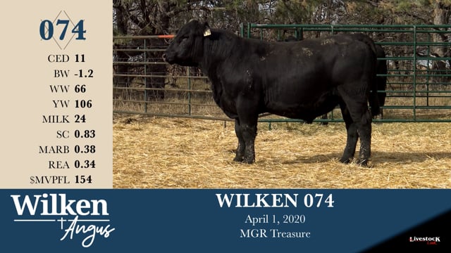 Lot #74 - WILKEN 074