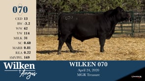 Lot #70 - WILKEN 070