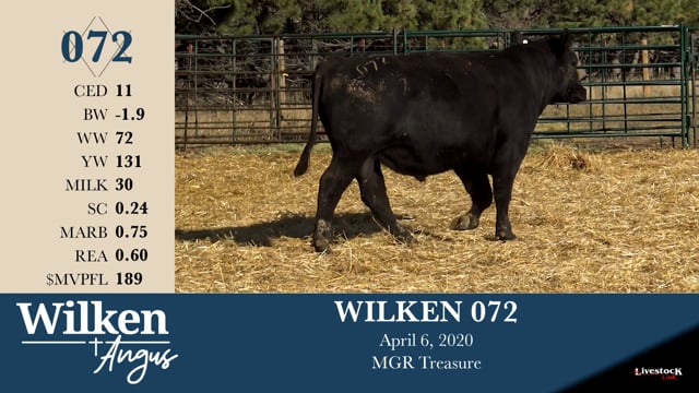 Lot #72 - WILKEN 072