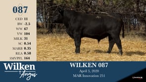 Lot #87 - WILKEN 087