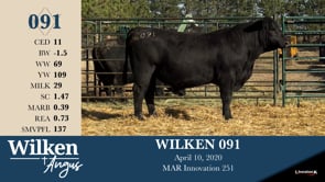 Lot #91 - WILKEN 091