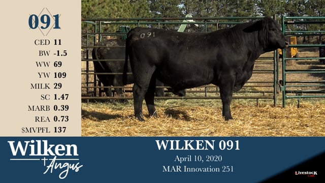 Lot #91 - WILKEN 091