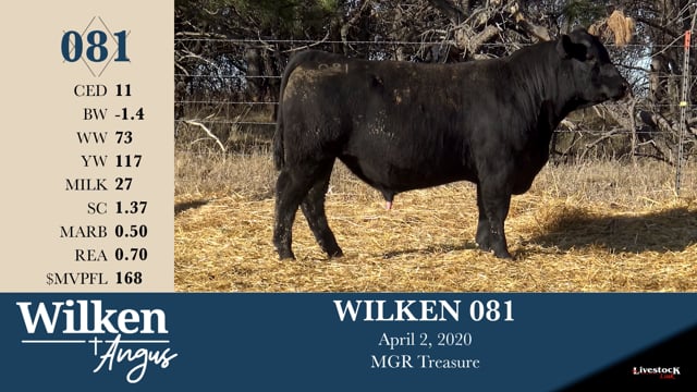Lot #81 - WILKEN 081