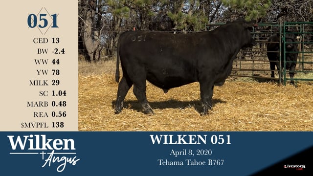 Lot #51 - WILKEN 051