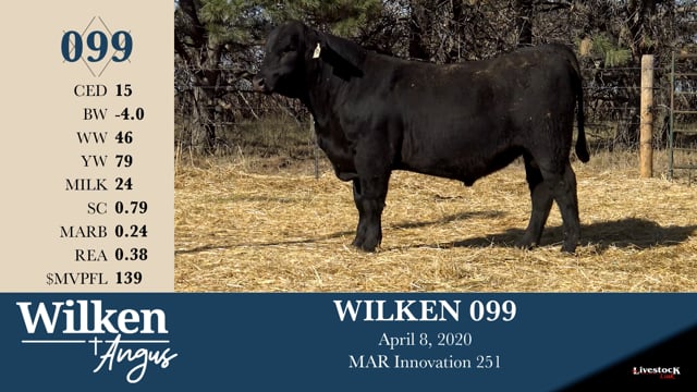Lot #99 - WILKEN 099