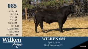 Lot #85 - WILKEN 085 ***OUT OF SALE***
