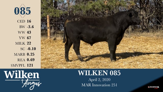 Lot #85 - WILKEN 085 ***OUT OF SALE***