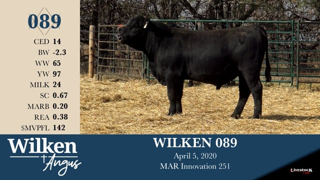 Lot #89 - WILKEN 089