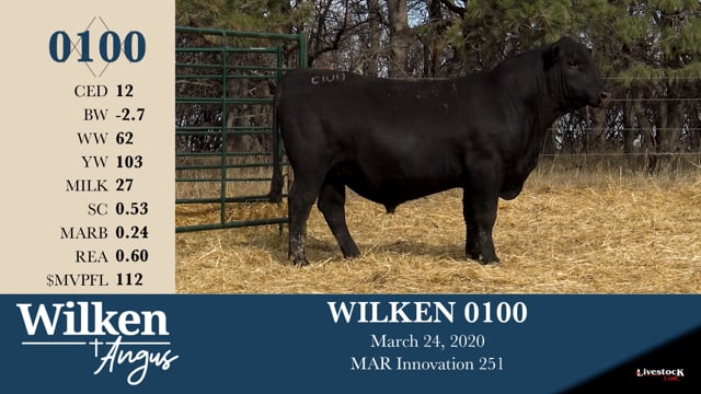 Lot #100 - WILKEN 0100