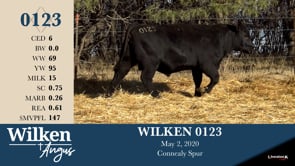 Lot #123 - WILKEN 0123