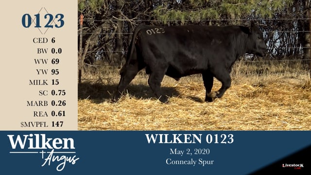 Lot #123 - WILKEN 0123