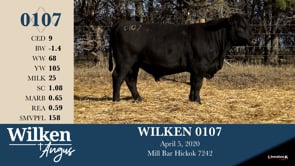 Lot #107 - WILKEN 0107