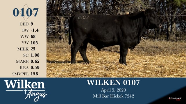 Lot #107 - WILKEN 0107