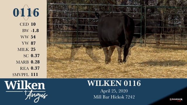 Lot #116 - WILKEN 0116