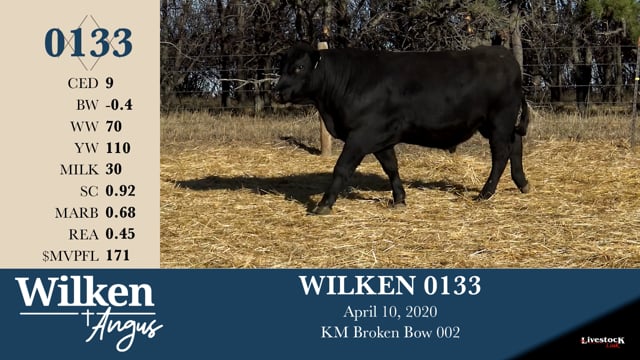 Lot #133 - WILKEN 0133