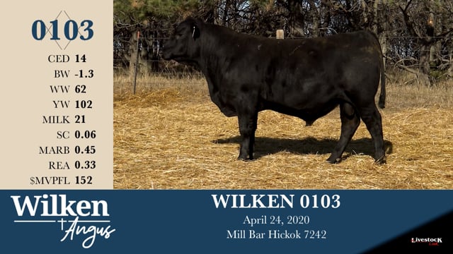 Lot #103 - WILKEN 0103