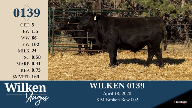 Lot #139 - WILKEN 0139