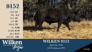 Lot #152 - WILKEN 0152